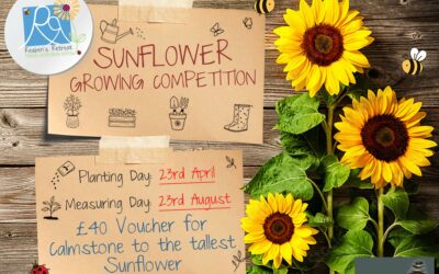 sunfloweRR Competition